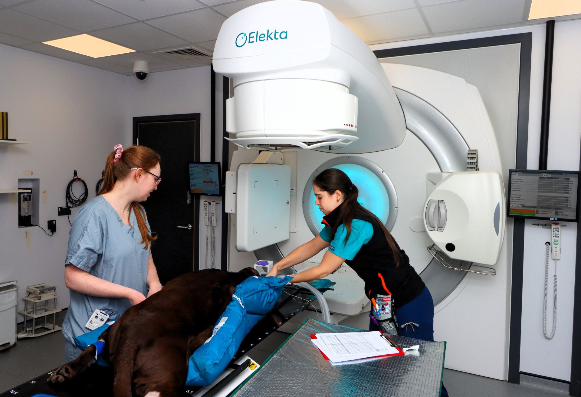 Dog Receiving Hypofractionated Radiotherapy