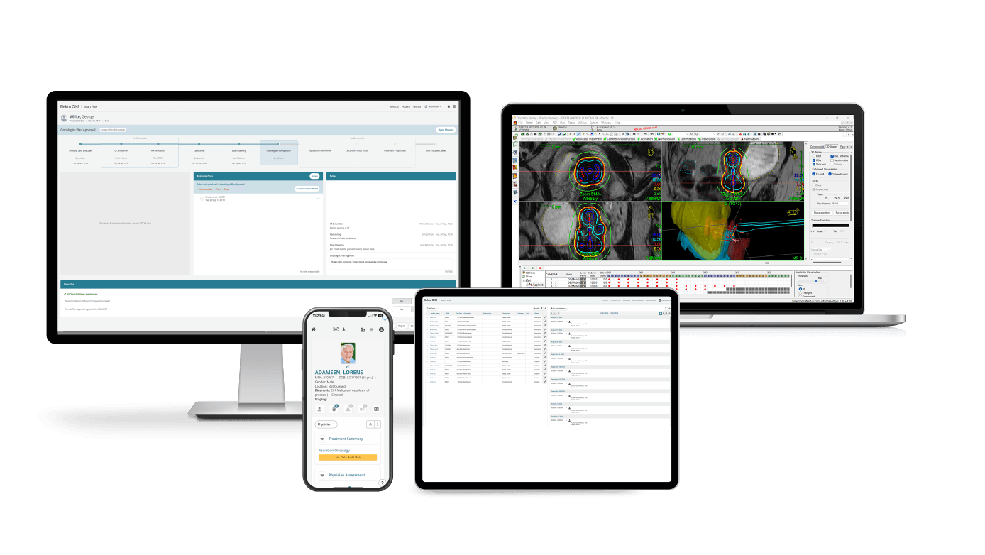 Brachy Screen Montage Transparent